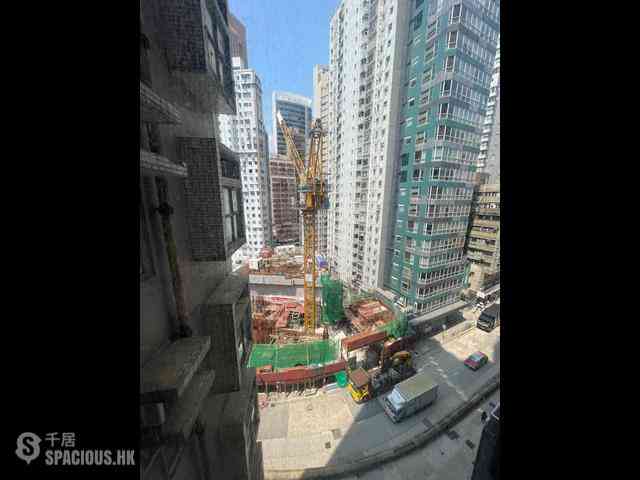 Sai Ying Pun - Macro Garden 06