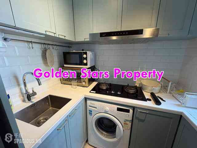 Sai Ying Pun - Western Garden Evergreen Tower (Block 1) 05