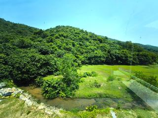 南大屿山 - 十塱旧村 12