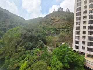 東半山 - 丰乐新邨B座 06