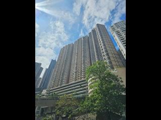 Mid Levels Central - Garden Terrace 21