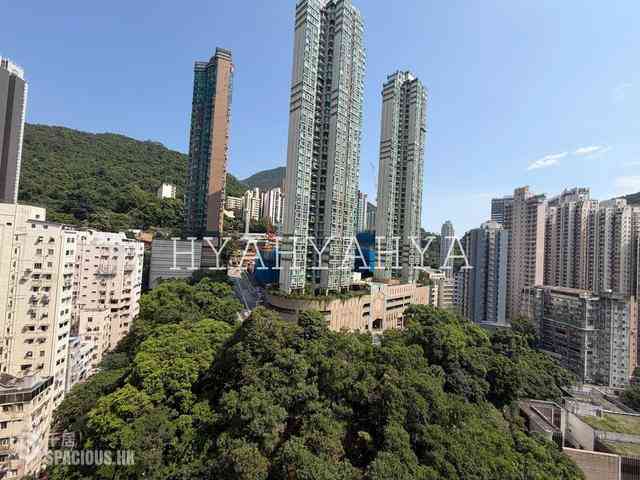堅尼地城 - 寶雅山 07