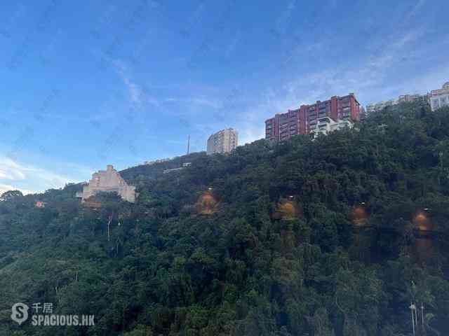 中半山 - 世纪大厦 13