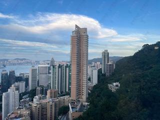 中半山 - 世紀大廈 15