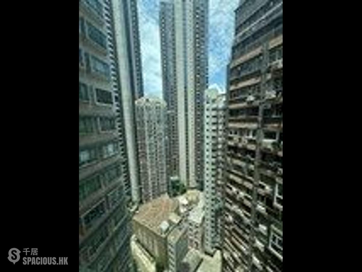 中半山 - 高云台 01