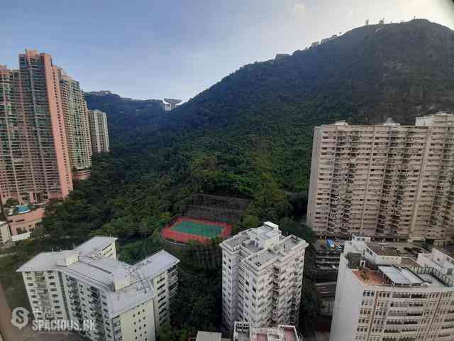 中半山 - 麗豪閣B座 03