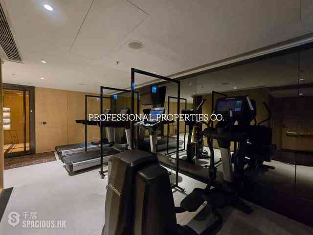 Mid Levels Central - 3, MacDonnell Road 17