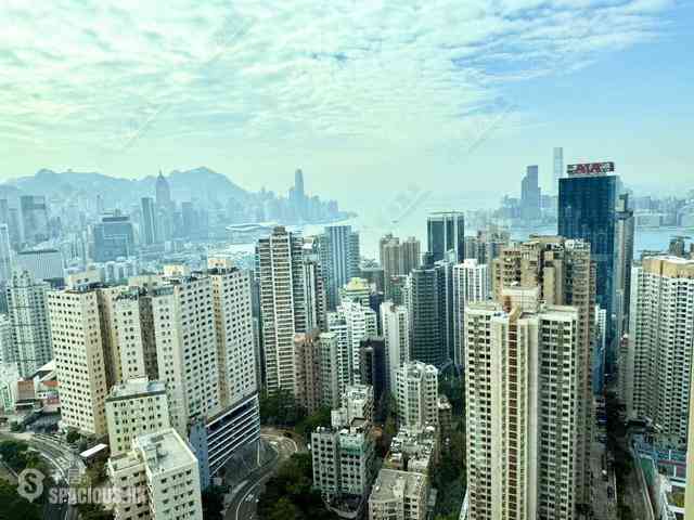 寶馬山 - 海天峰 14