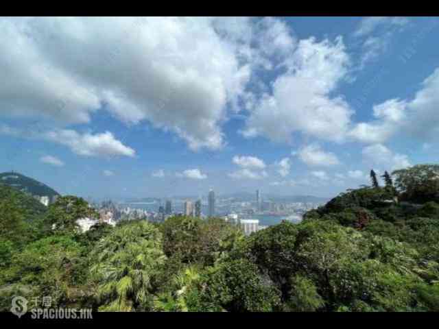 山顶 - 马己仙峡道33号 04