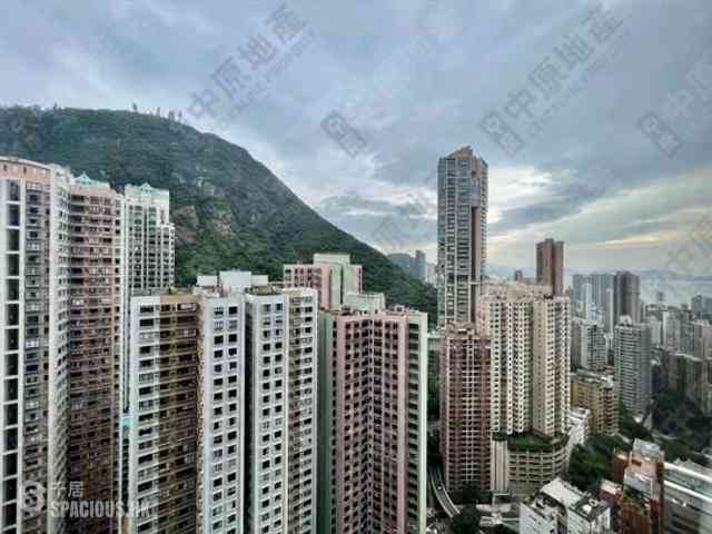 Mid Levels Central - Robinson Place 06