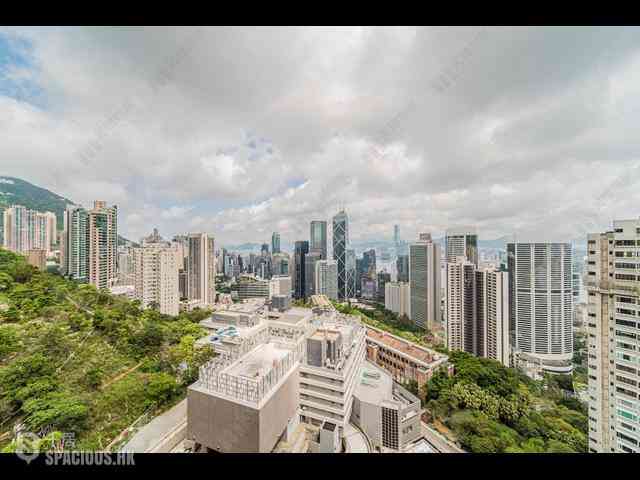 中半山 - 21 Borrett Road 1期 02