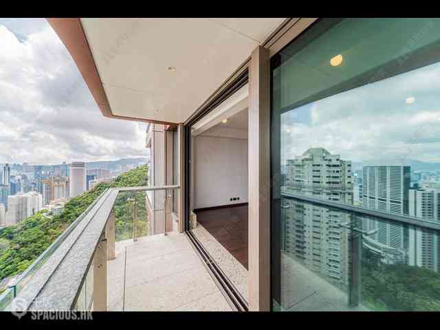 中半山 - 21 Borrett Road 1期 08