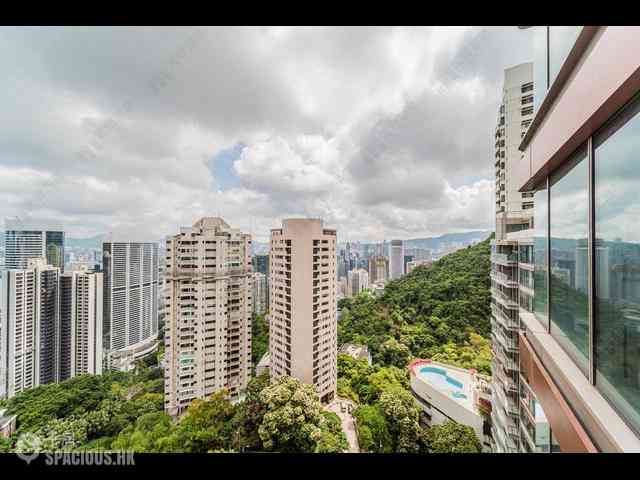 中半山 - 21 Borrett Road 1期 09