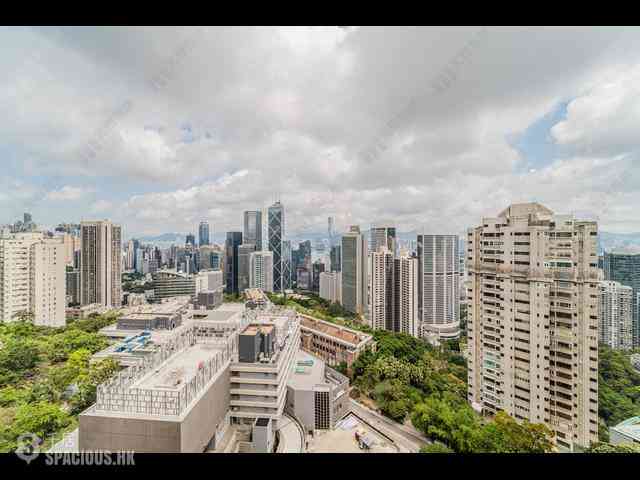 中半山 - 21 Borrett Road 1期 10