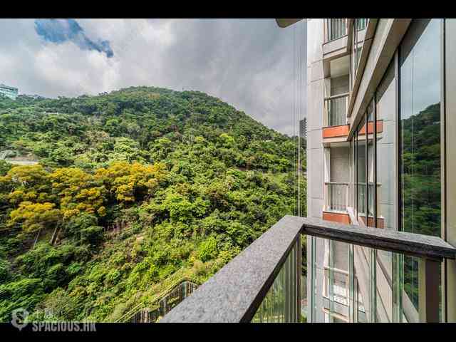 中半山 - 21 Borrett Road 1期 19