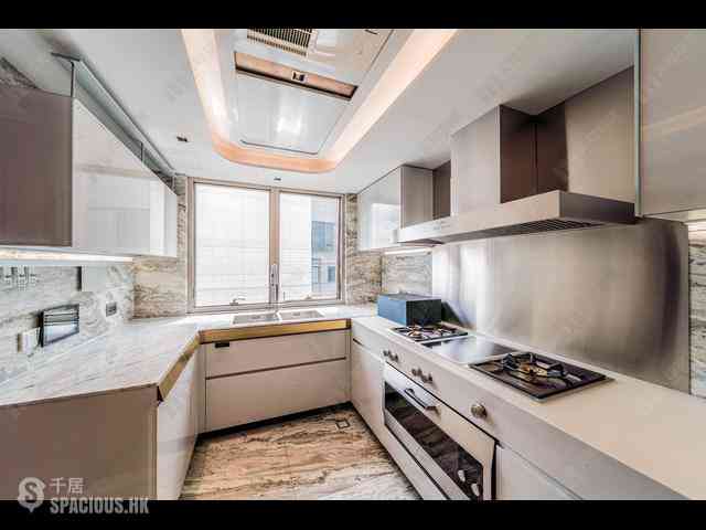 中半山 - 21 Borrett Road 1期 22