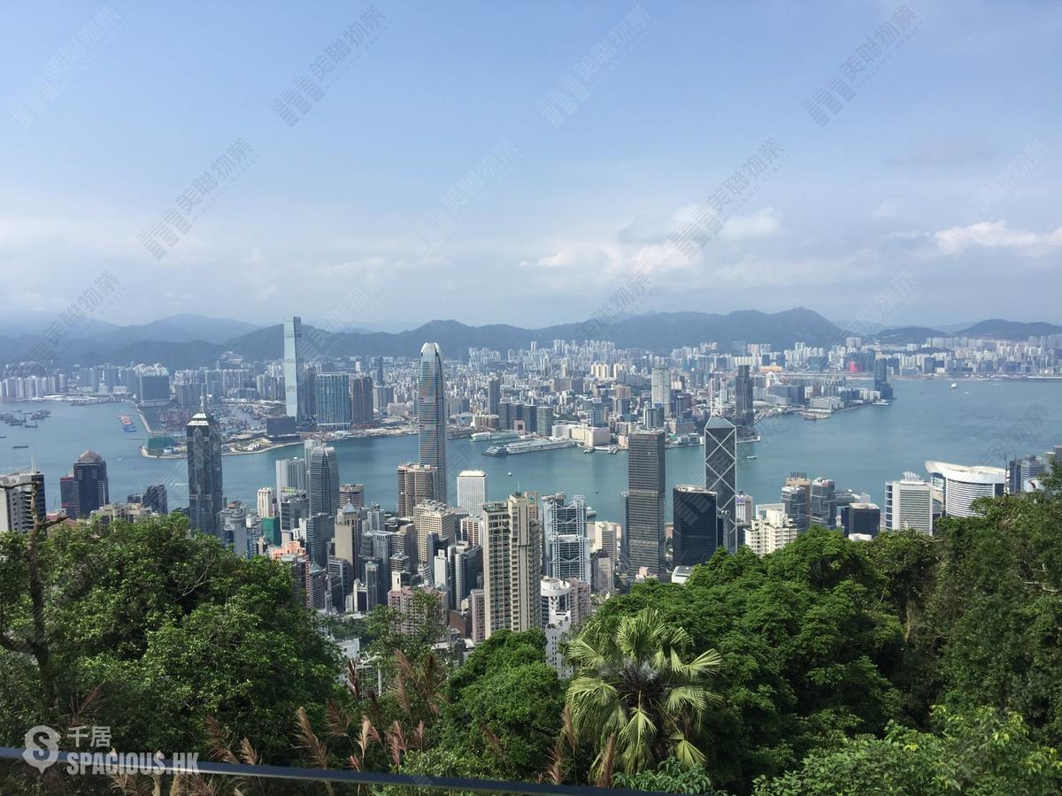山顶 - 山景 01