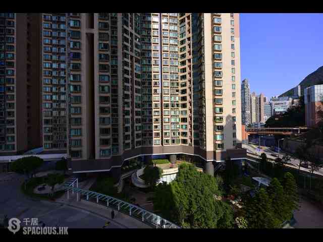 Shek Tong Tsui - The Belcher's 01