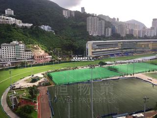 Happy Valley - Champion Court (Building) 04