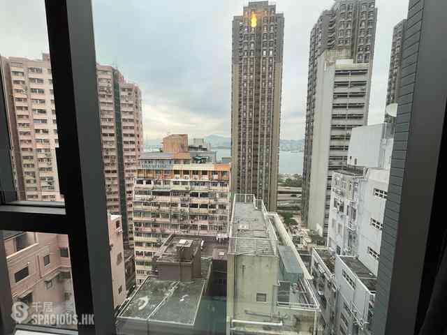 Sai Ying Pun - One・Artlane 07