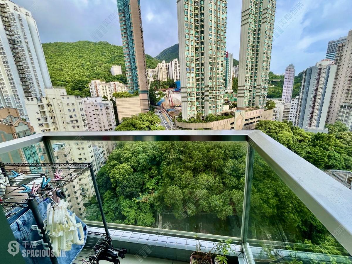 堅尼地城 - 寶雅山 01
