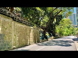 西半山 - 璈珀 26