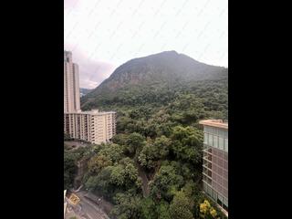西半山 - 富景花園1座 08