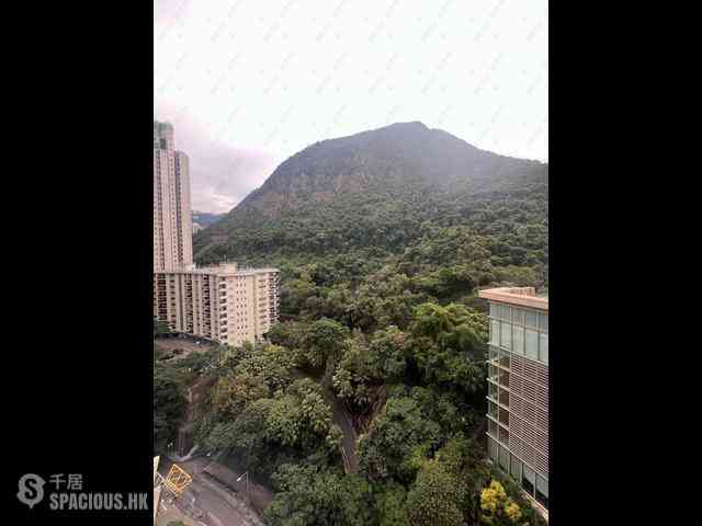 西半山 - 富景花園1座 08