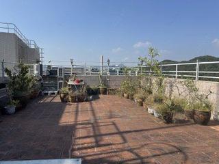 Tai Hang - Flora Garden 09