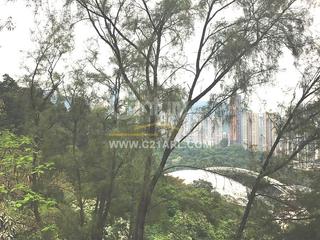 Tai Hang - 9A, Wang Fung Terrace 03