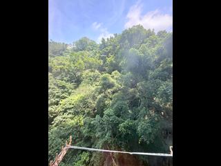 Tin Hau - Dragon Court Block B 04