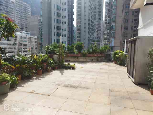中半山 - 正大花園 10