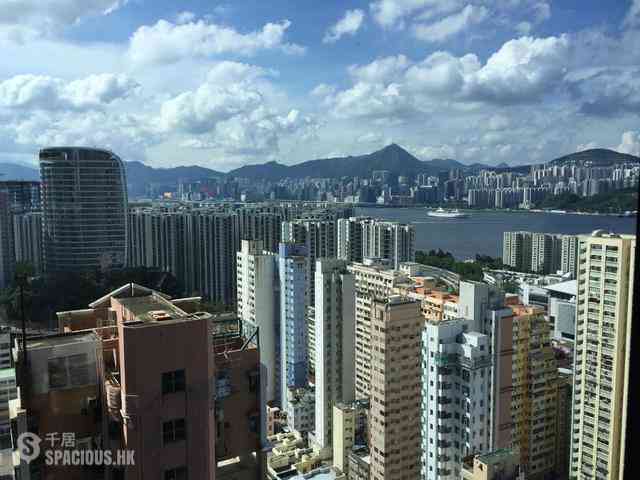 西灣河 - 柏匯 01