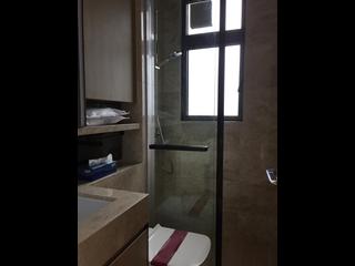 西灣河 - 柏匯 06