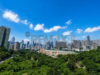 司徒拔道 - Central Peak 02