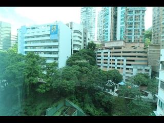 Wan Chai - 1, Star Street 11