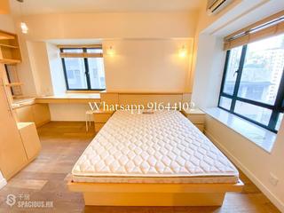 Poho - Rich View Terrace 04
