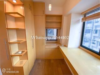 Poho - Rich View Terrace 05