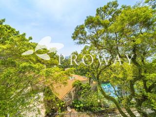 The Peak - Strawberry Hill 02