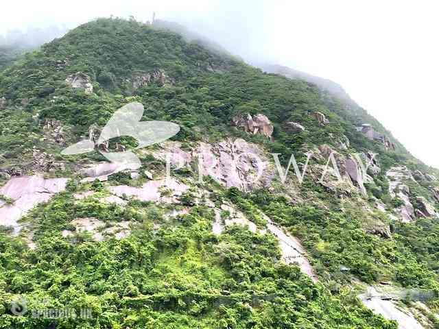 中半山 - 慧豪閣 02