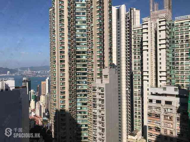 中半山 - The Icon 14