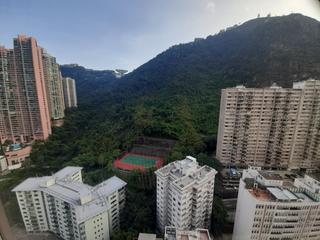 中半山 - 麗豪閣B座 03
