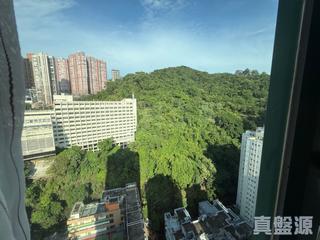 天后 - 景愉居 06