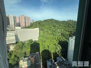 Tin Hau - King Yu Court 08
