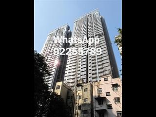 西營盤 - 縉城峰2座 12