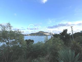 Chung Hom Kok - 30, Cape Road 16