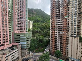中半山 - 美丽阁 15