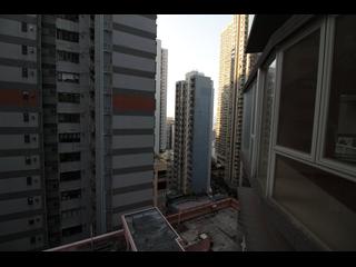 中半山 - The Icon 08