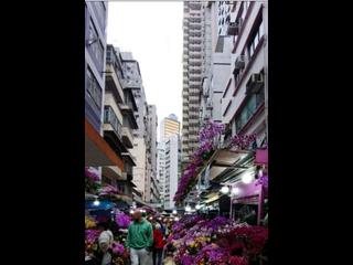 Wan Chai - Wai Cheong Building 09