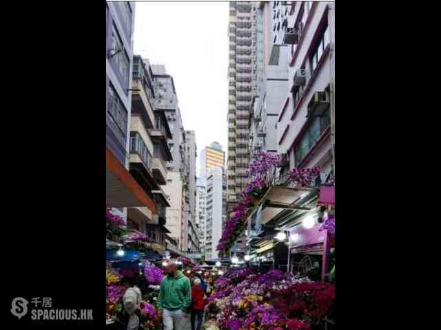 Wan Chai - Wai Cheong Building 09